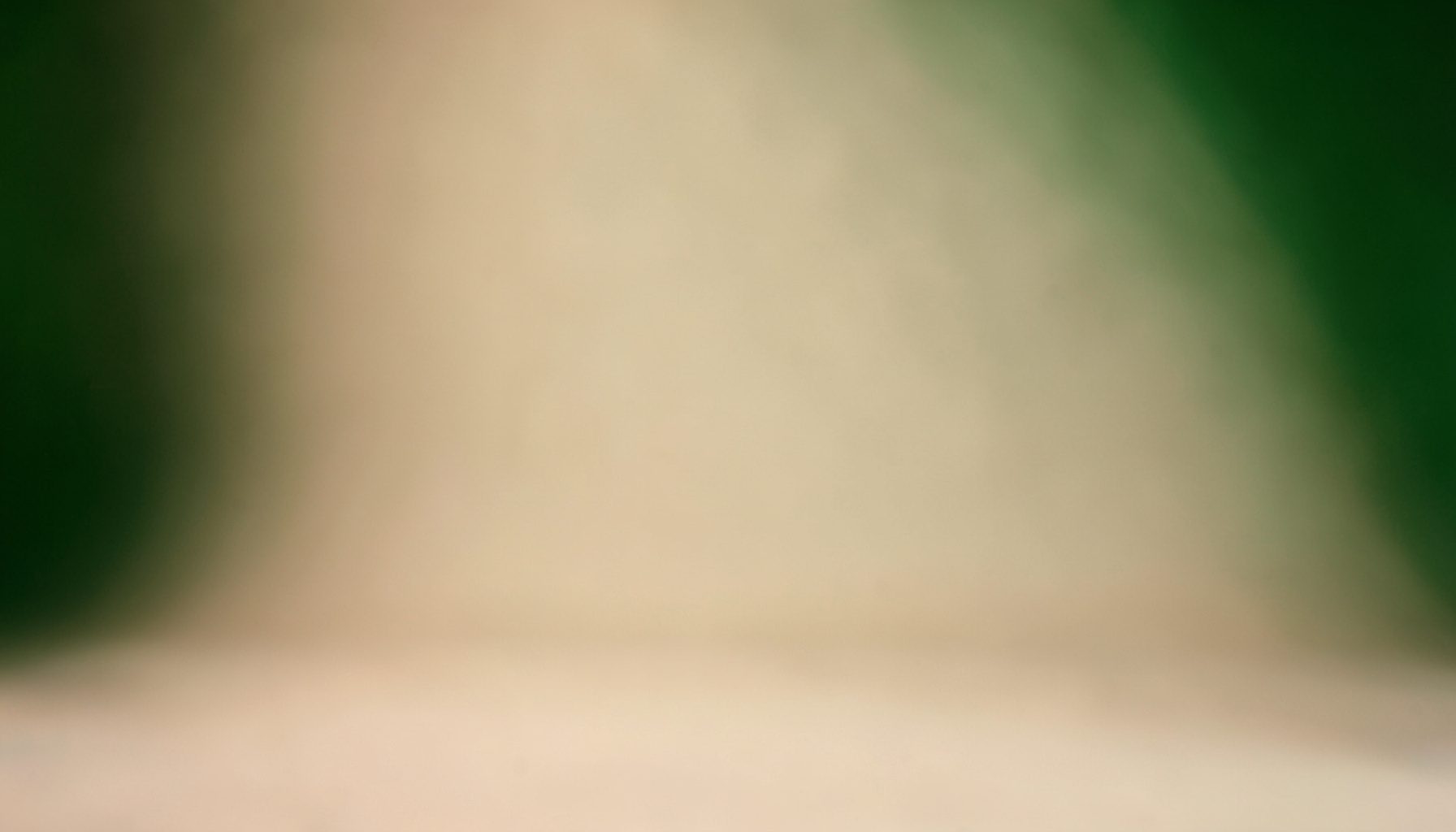 Warmly lit neutral beige studio backdrop with soft shadows and no visible objects